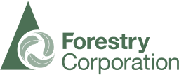 Forestry Corporation